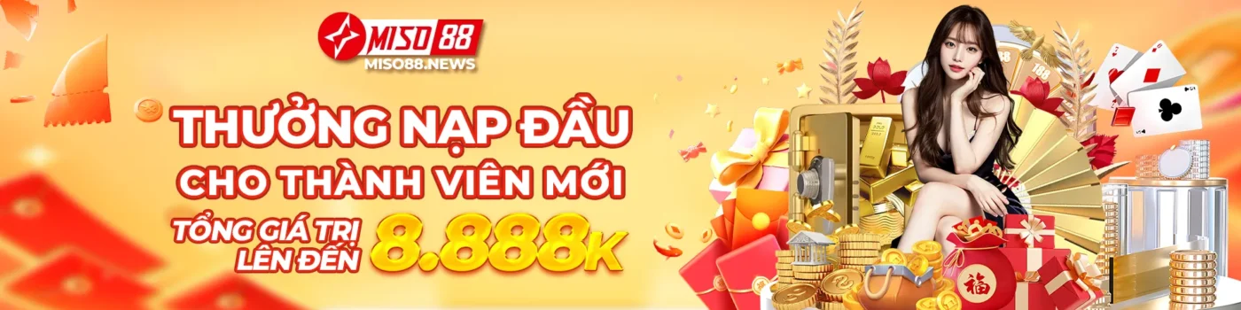 Banner MISO88