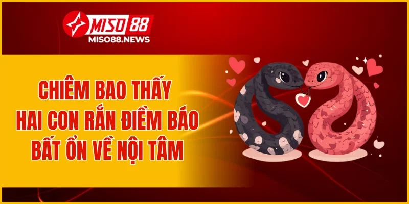 Chiêm bao thấy hai con rắn điềm báo bất ổn về nội tâm