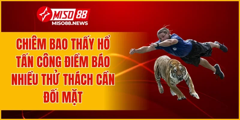 Chiêm bao thấy hổ tấn công điềm báo nhiều thử thách cần đối mặt