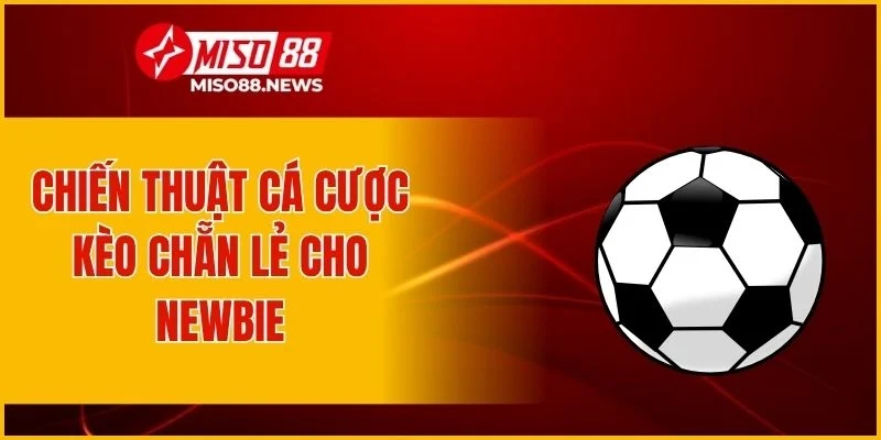 Chiến thuật cá cược kèo chẵn lẻ cho newbie