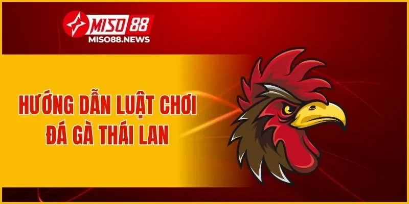 Nắm chắc luật chơi đá gà Thái Lan