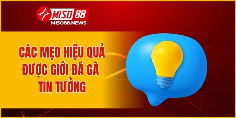 Các mẹo hiệu quả được giới đá gà tin tưởng