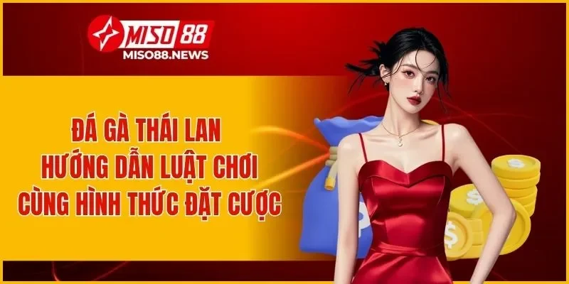 Đá Gà Thái Lan