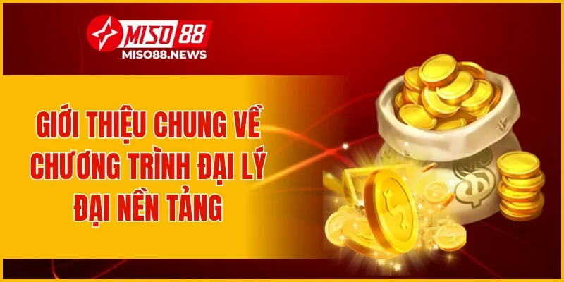 Giới thiệu chung về chương trình đại lý nền tảng