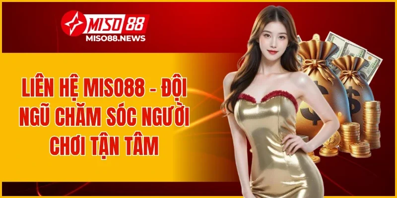 Liên Hệ Miso88