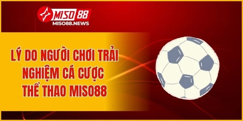 Lý do người chơi trải nghiệm cá cược thể thao Miso88