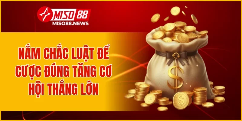 Nắm chắc luật để cược đúng tăng cơ hội thắng lớn