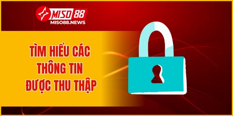 Tìm hiểu các thông tin được thu thập