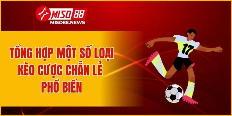Tổng hợp một số loại kèo cược chẵn lẻ phổ biến