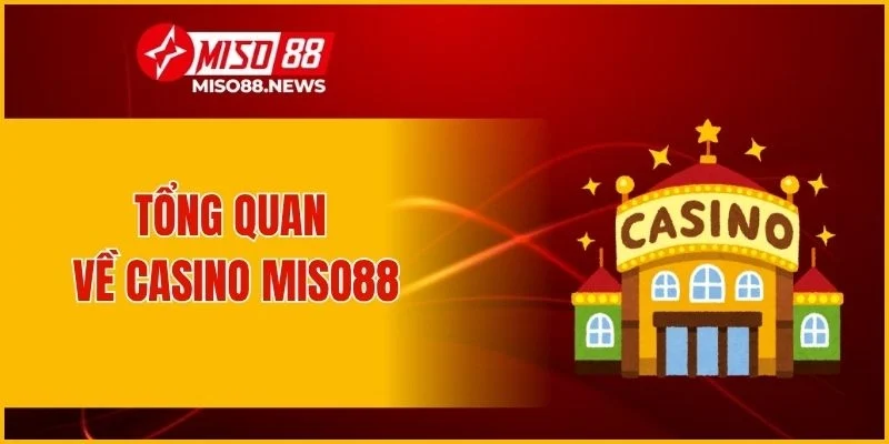 Tổng quan về casino Miso88