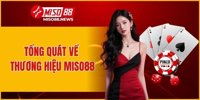 Tổng quát về thương hiệu MISO88