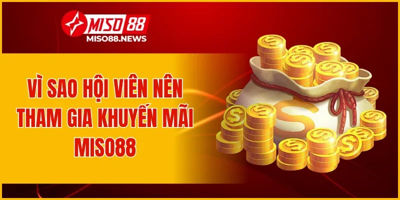 Vì sao hội viên nên tham gia khuyến mãi Miso88